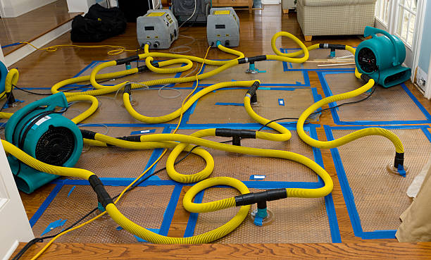Professional Basement Flood Cleanup technician working in Exeter, CA